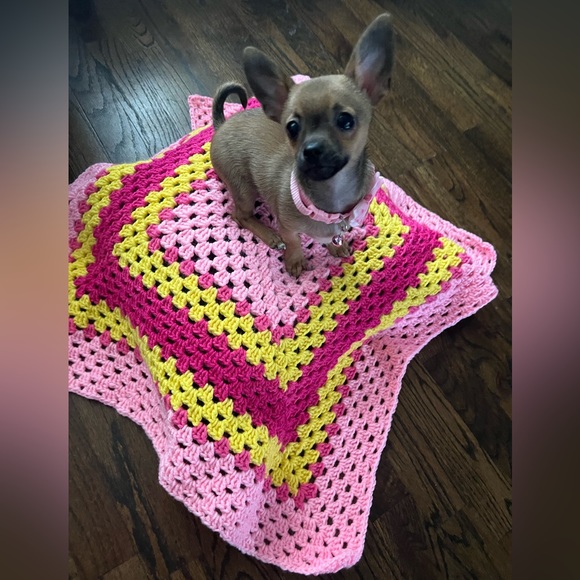 Moor and Lambchop they love their handmade crochet puppy blankets and sweatersπ - Picture 7 of 17